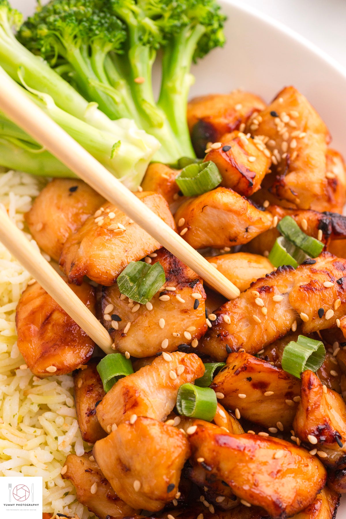 AIR FRYER TERIYAKI CHICKEN ( Mini Exclusive)