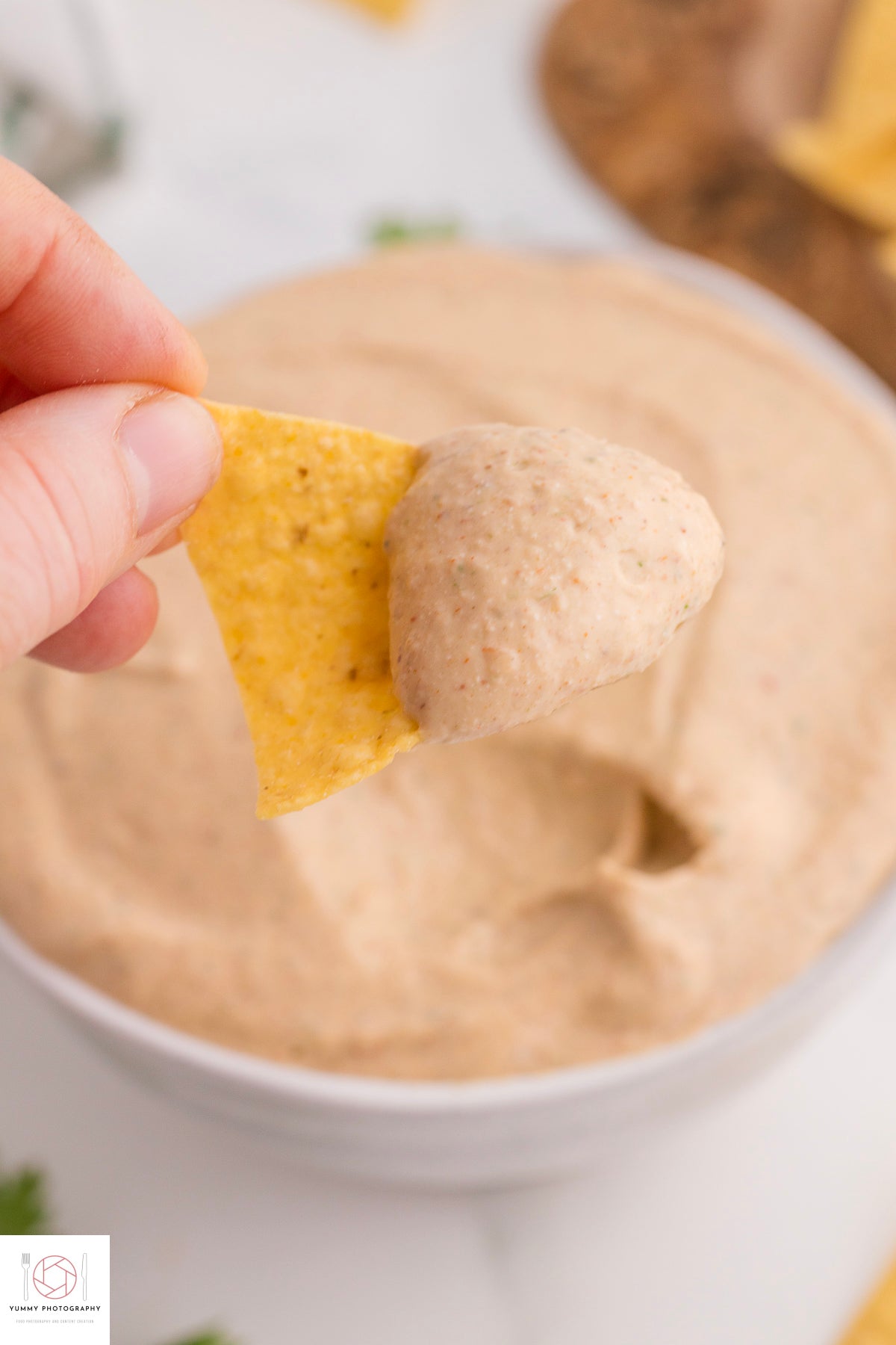 Cottage Cheese Taco Dip ( Mini Exclusive)