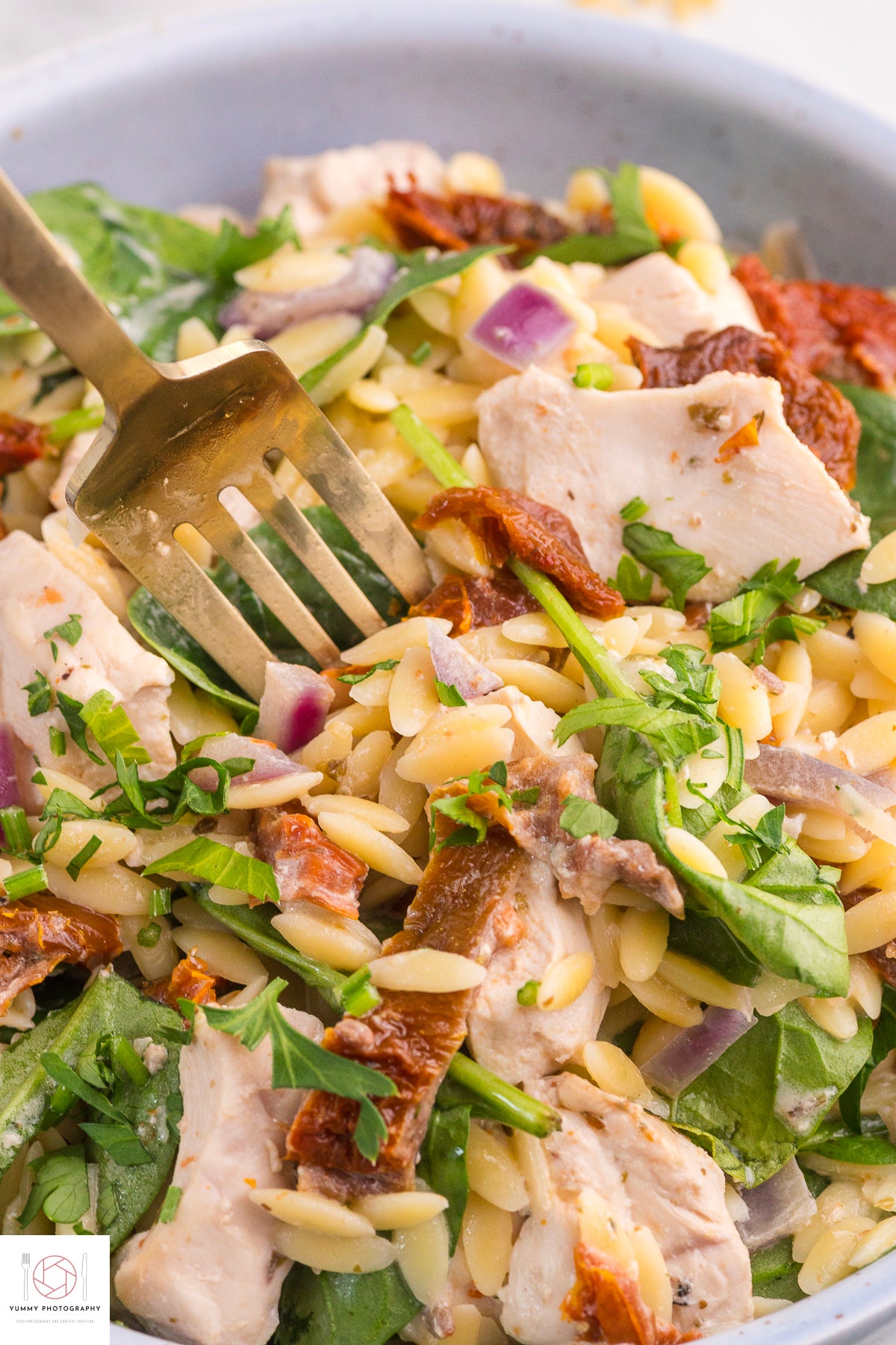 CROCKPOT MARRY ME CHICKEN ORZO