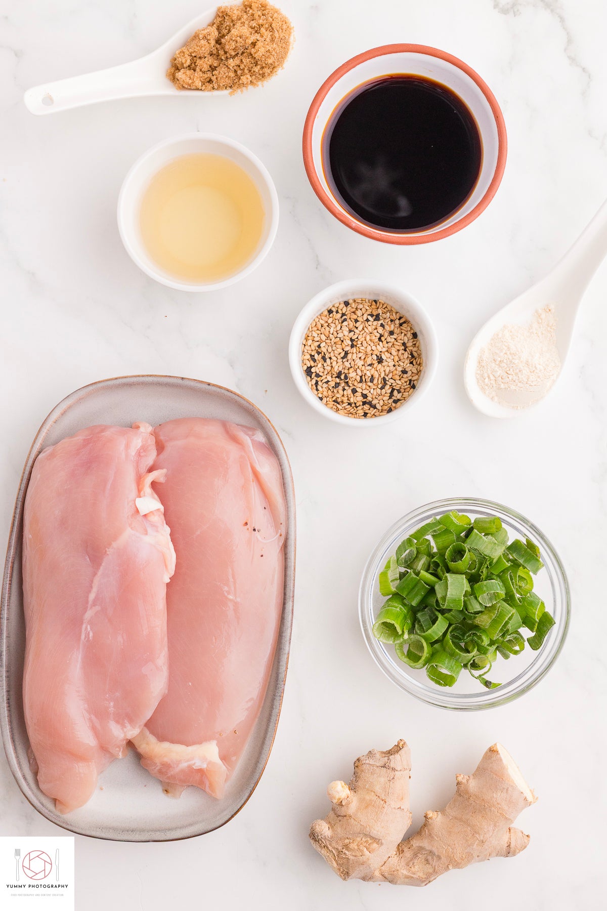 AIR FRYER TERIYAKI CHICKEN ( Mini Exclusive)