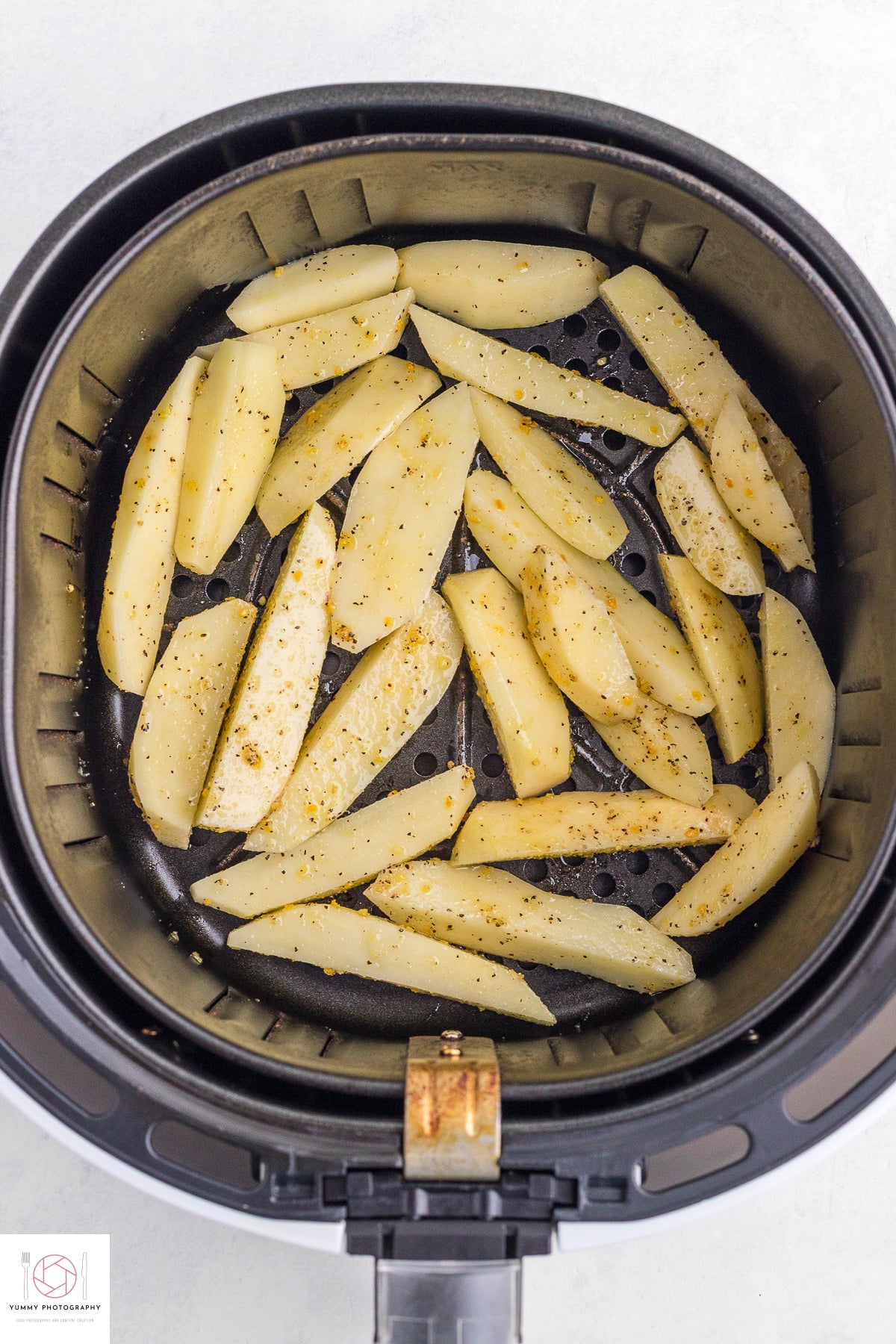 AIR FRYER STEAK FRIES (mini exclusive)