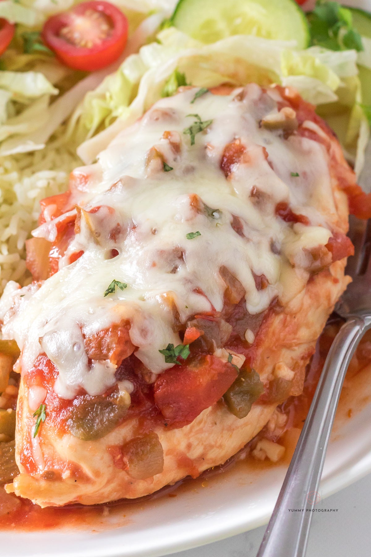 CROCKPOT CHICKEN SALSA