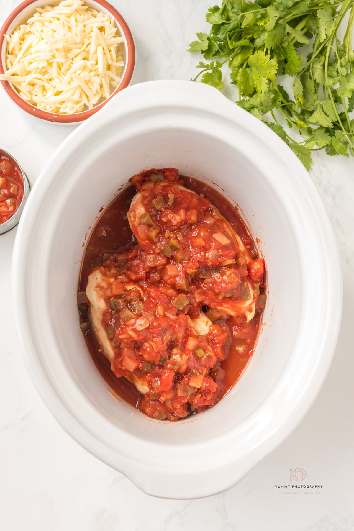 CROCKPOT CHICKEN SALSA