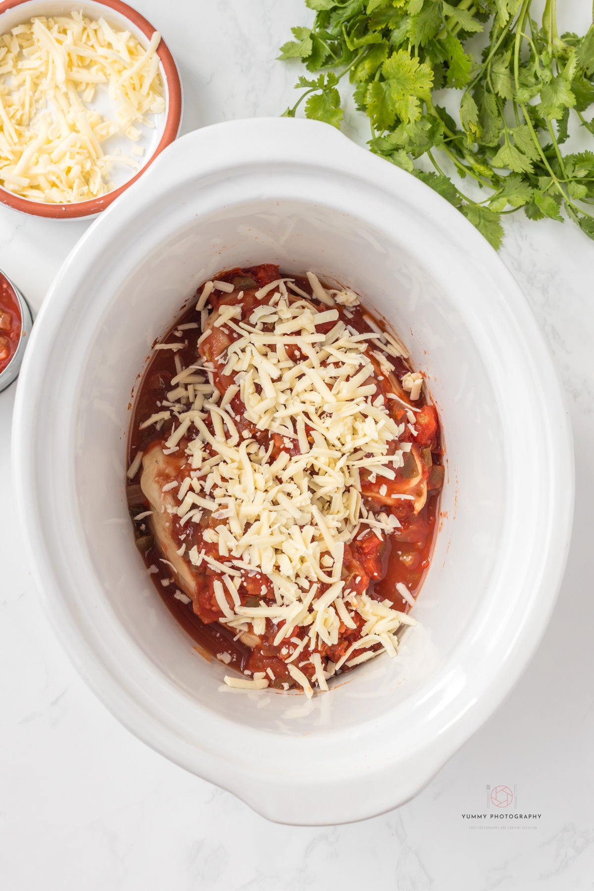 CROCKPOT CHICKEN SALSA