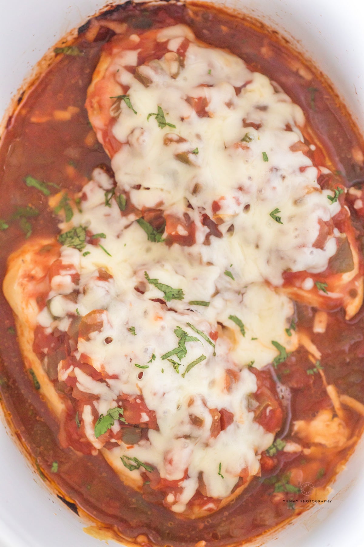 CROCKPOT CHICKEN SALSA