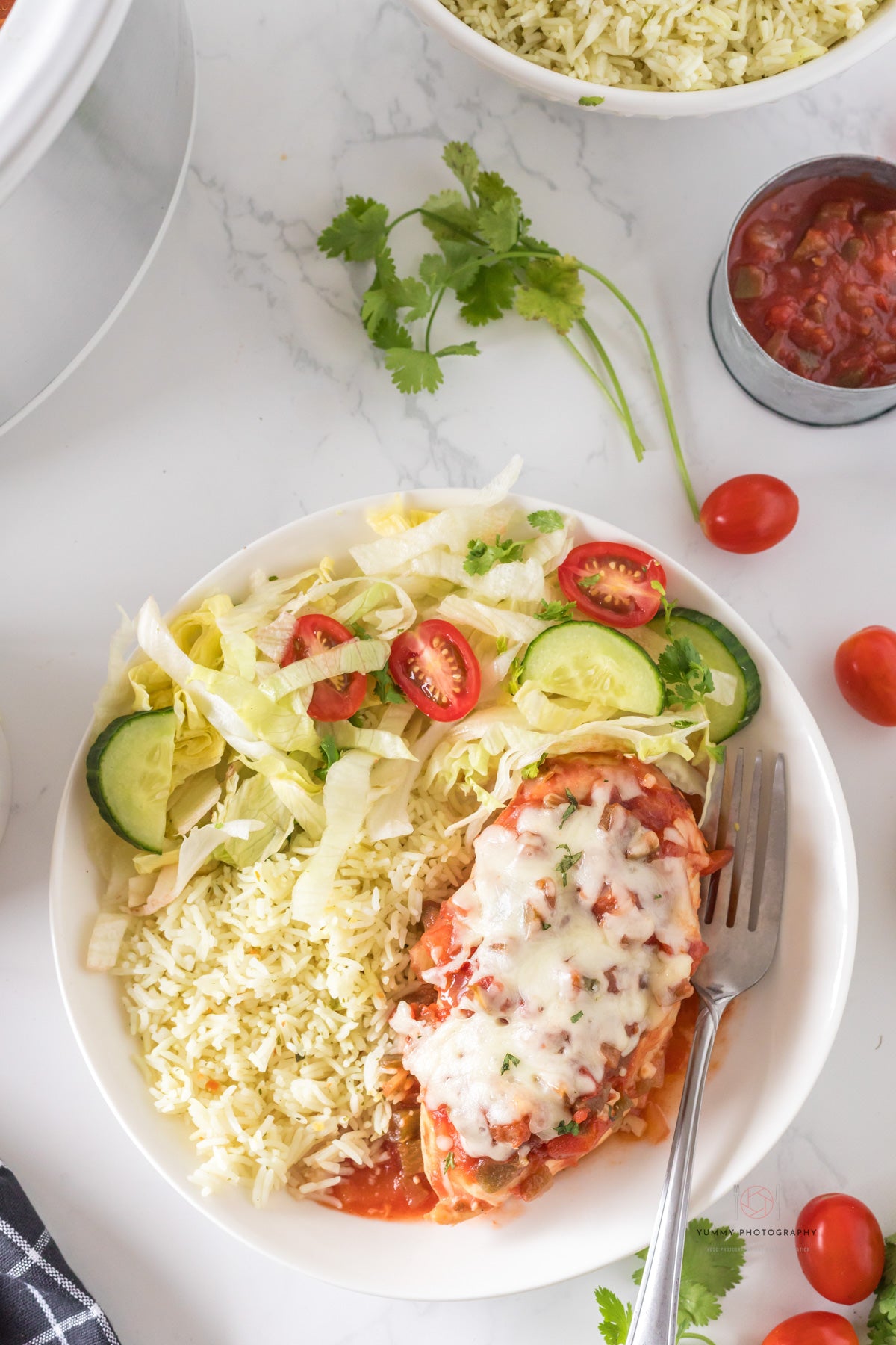 CROCKPOT CHICKEN SALSA