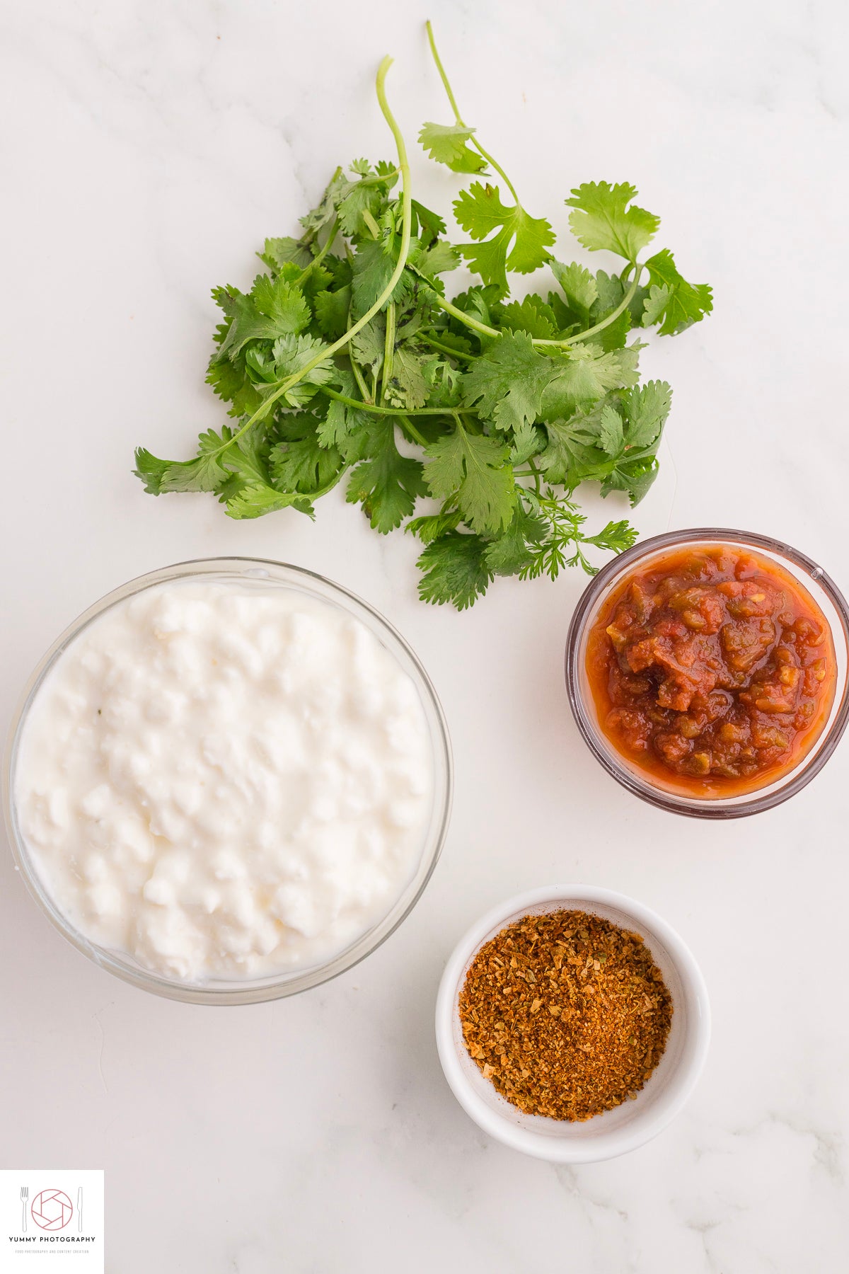 Cottage Cheese Taco Dip ( Mini Exclusive)