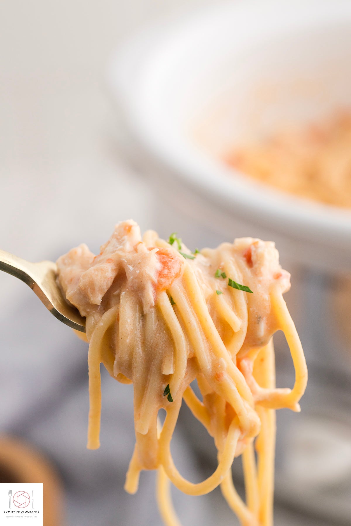 CROCKPOT CHICKEN SPAGHETTI