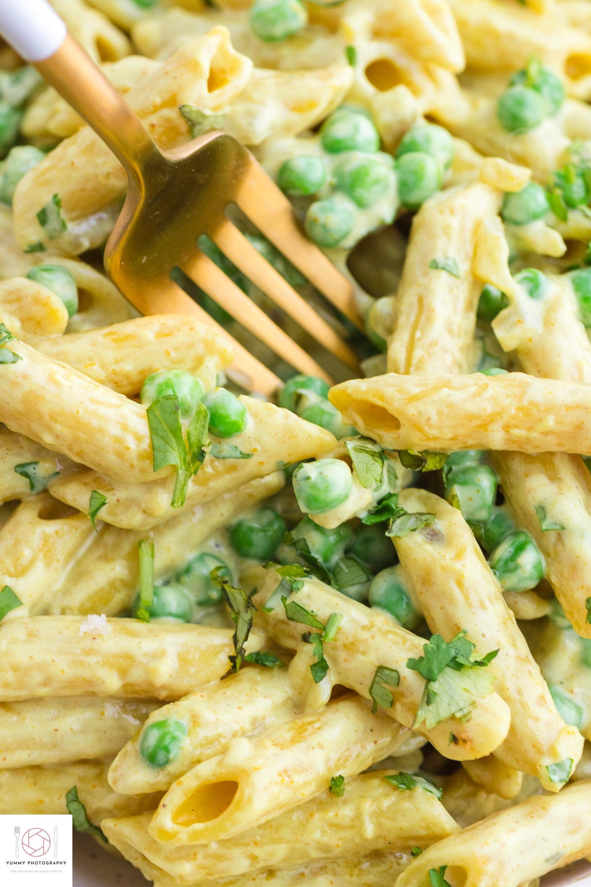 ONE POT CURRY PASTA (MINI EXCLUSIVE)