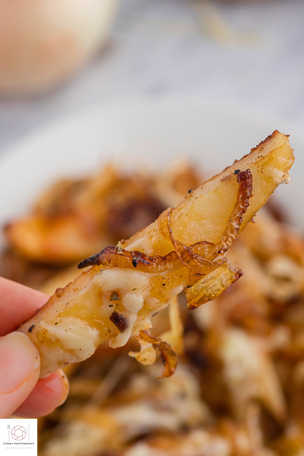 FRENCH ONION FRIES