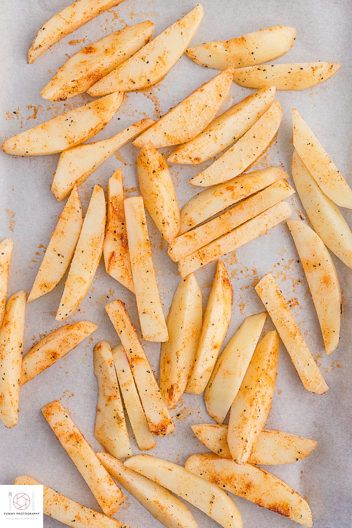 FRENCH ONION FRIES