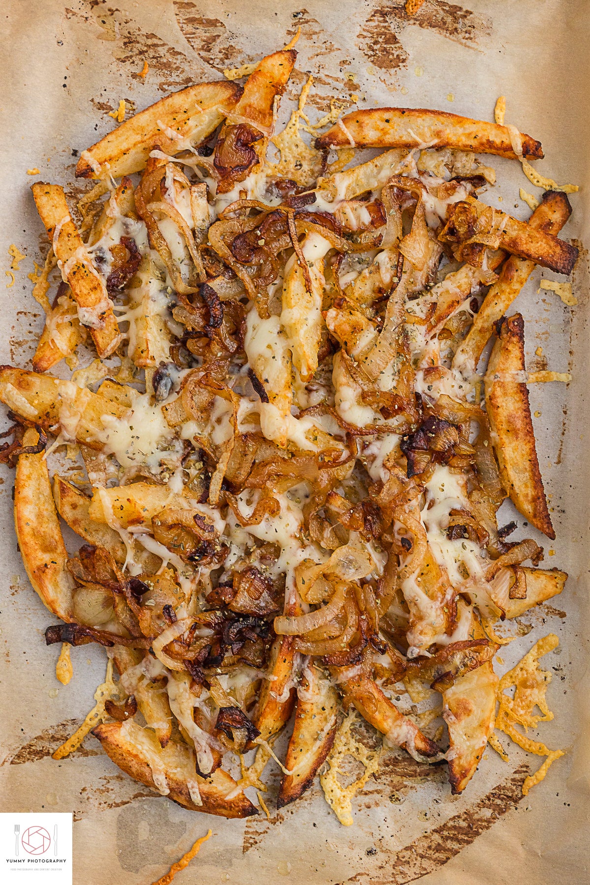 FRENCH ONION FRIES