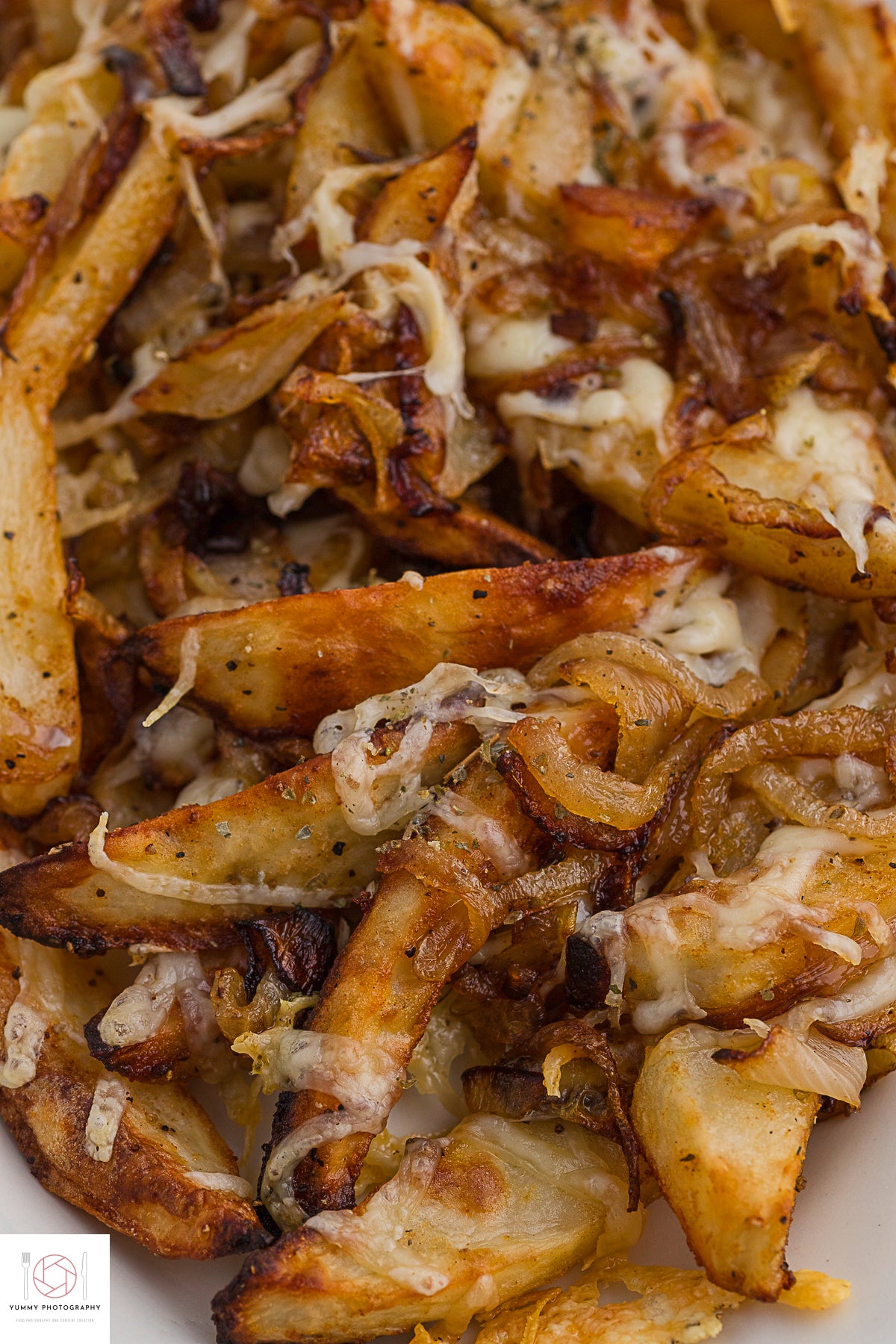 FRENCH ONION FRIES