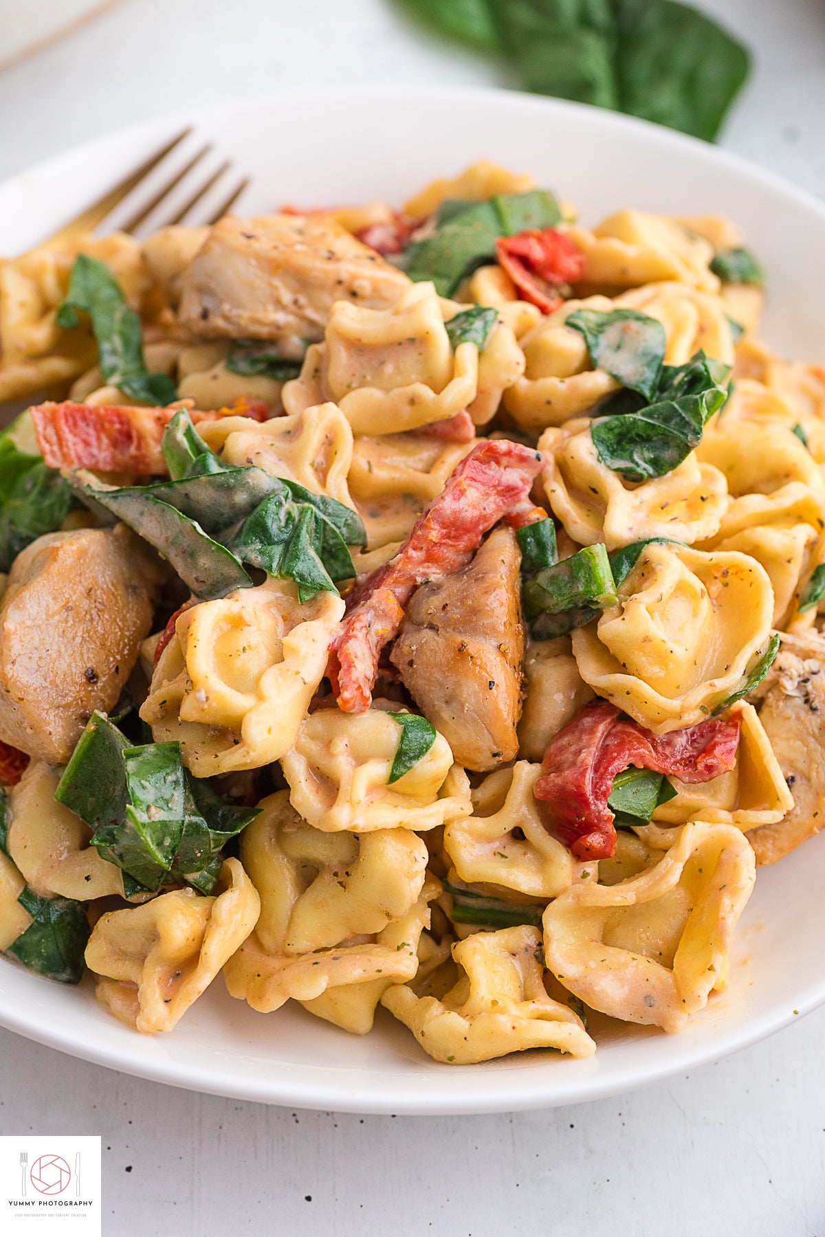 MARRY ME CHICKEN TORTELLINI