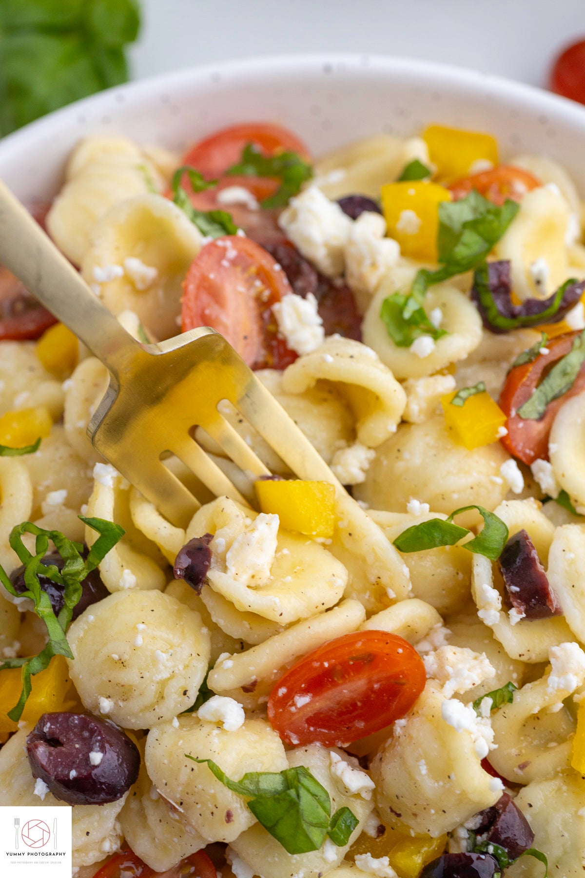 ORECHIETTE PASTA SALAD