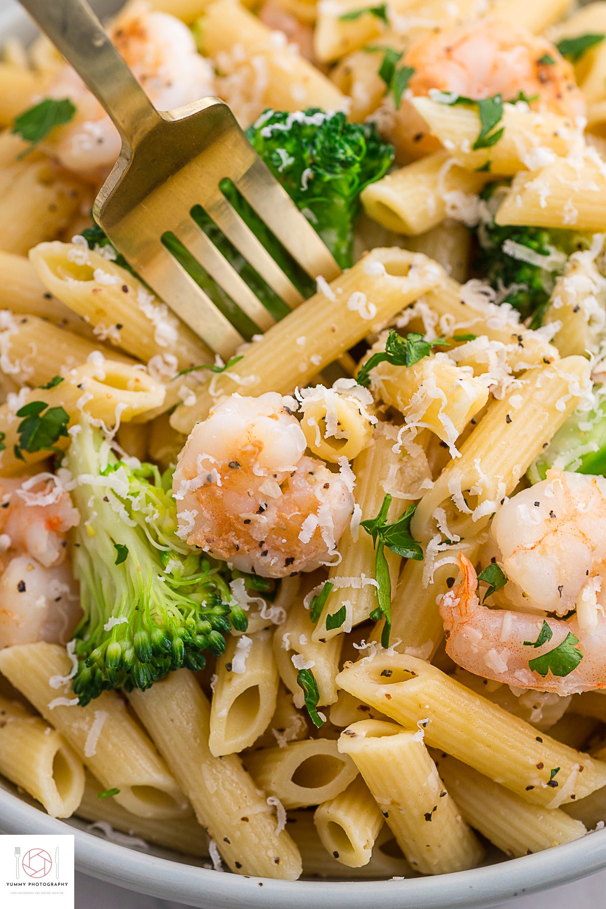 SHRIMP AND BROCCOLI PASTA