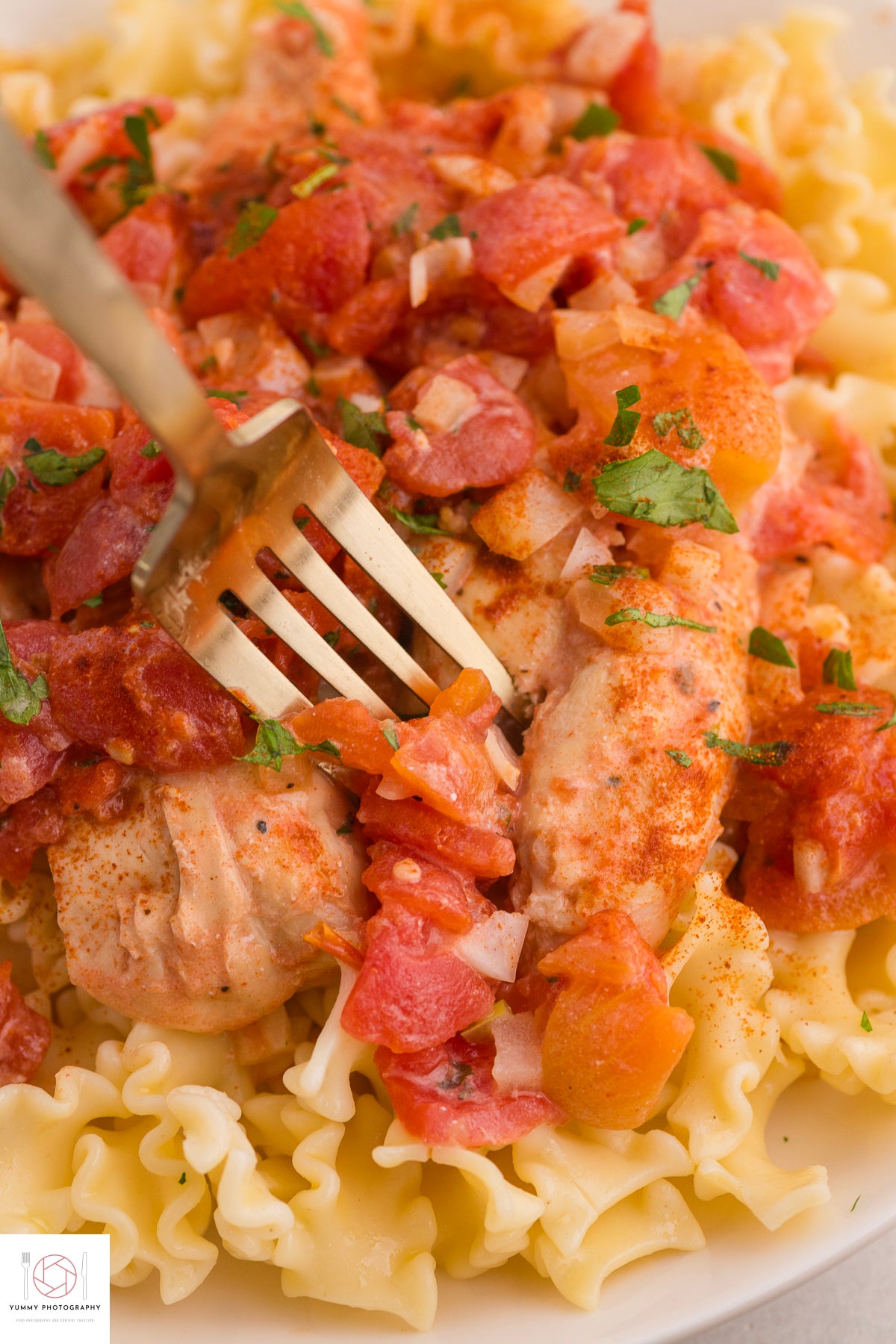 Chicken Paprikash