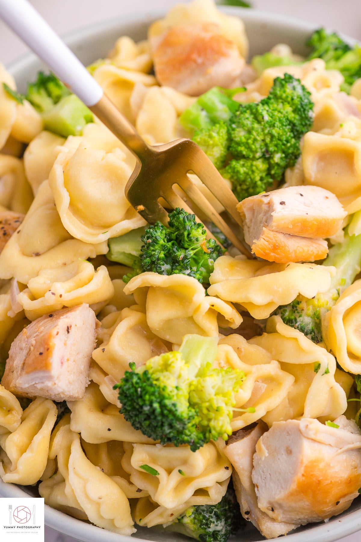 BROCCOLI CHICKEN TORTELLINI PASTA