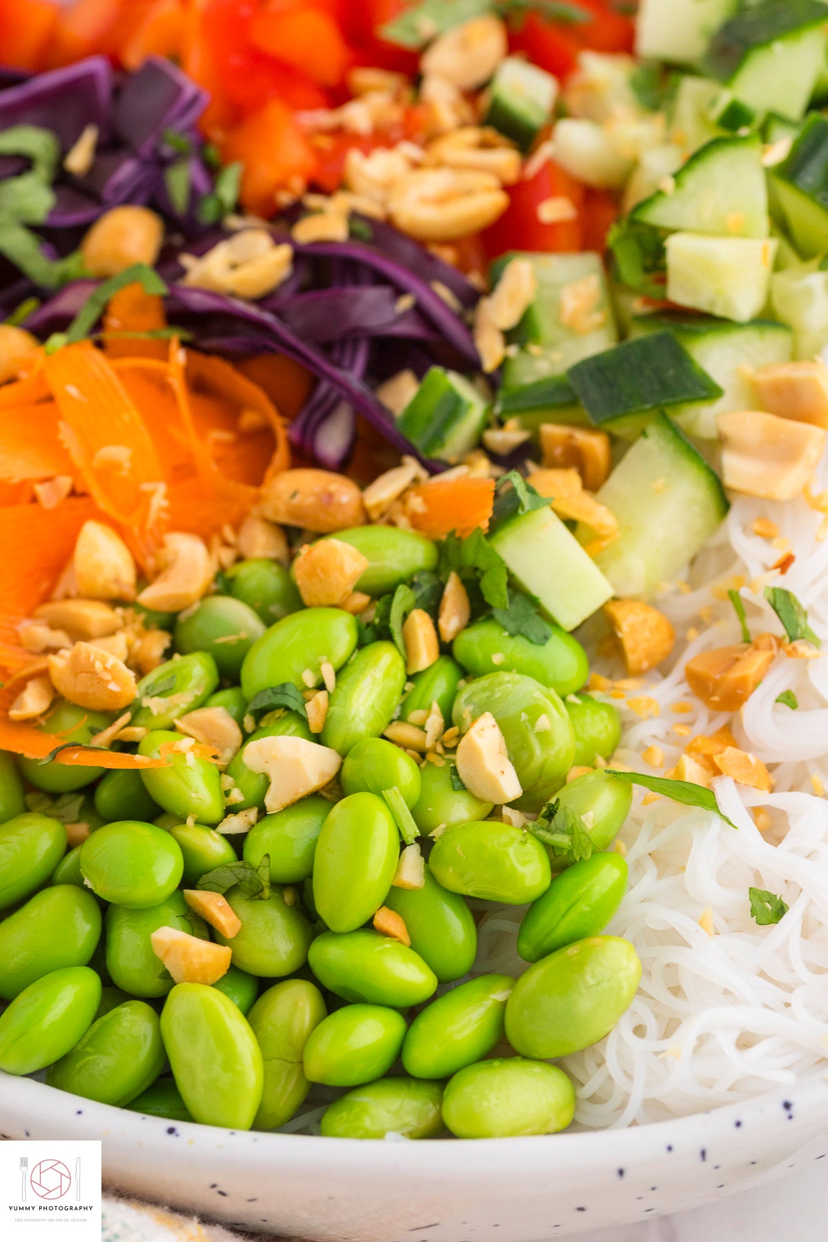 Spring Roll in a Bowl (mini exclusive)